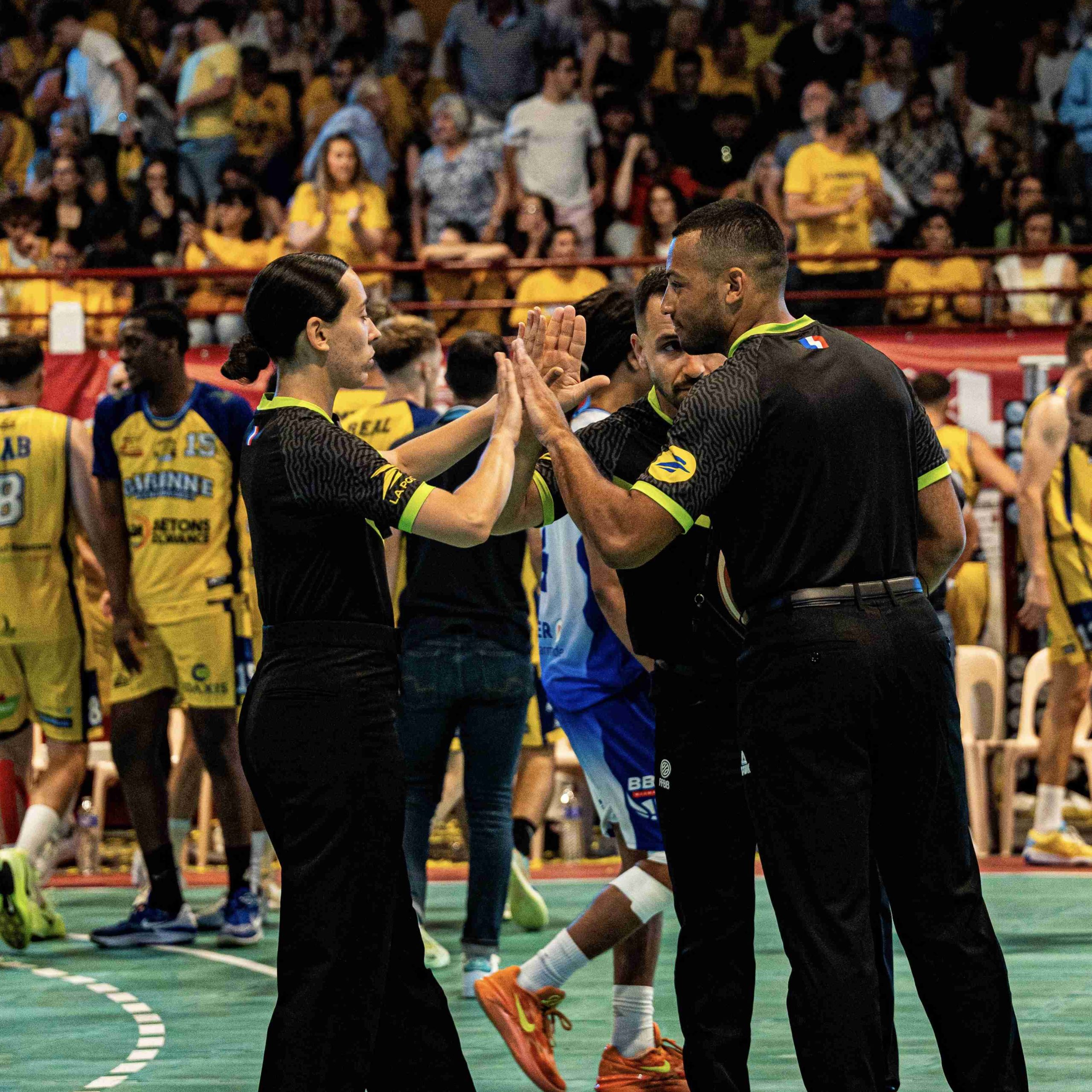 Arbitres nationaux
